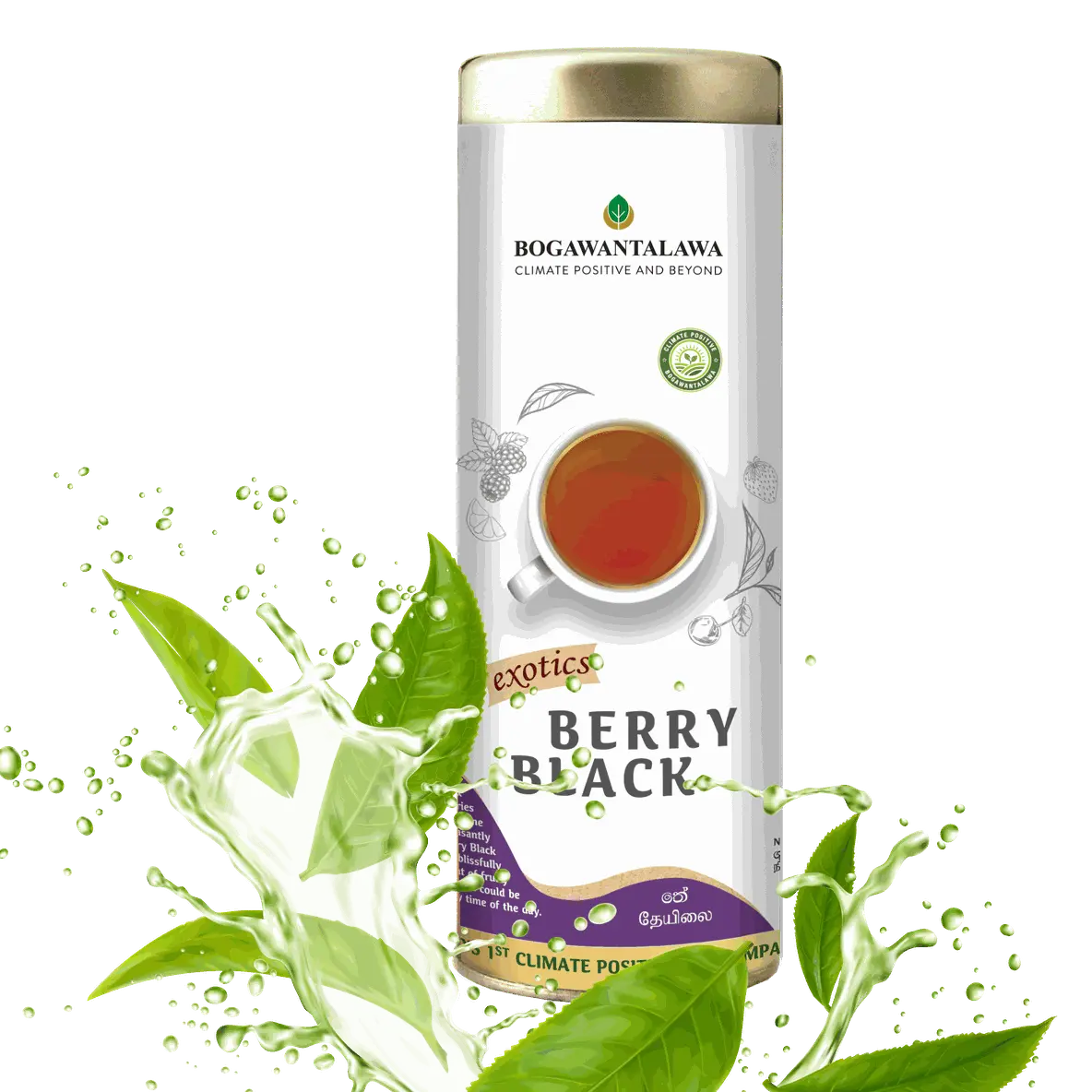 Exotics Berry Black