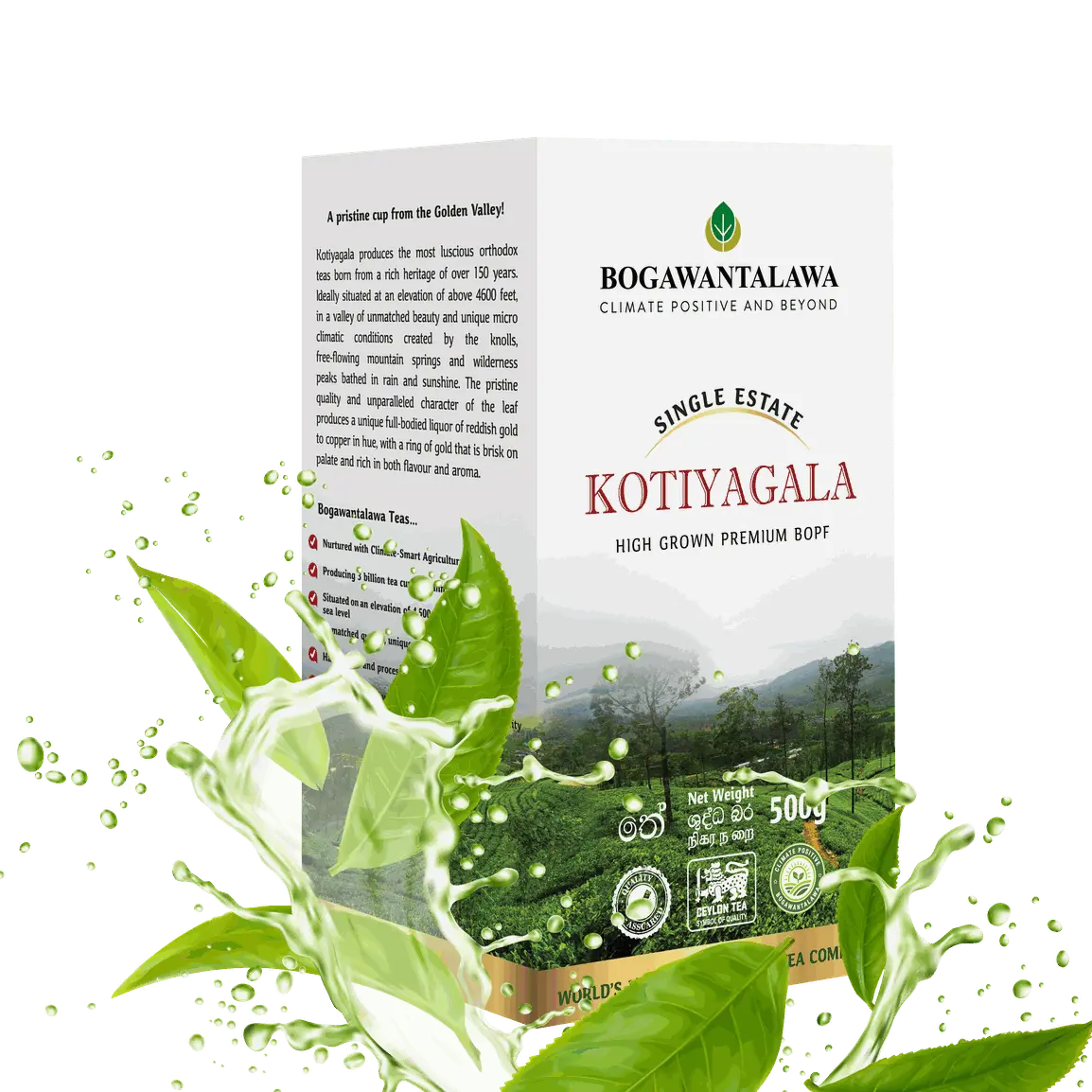 Kotiyagala orthodox tea