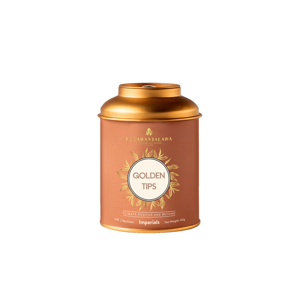 [IM-GT-30g]  Golden Tips Loose leaf 30g